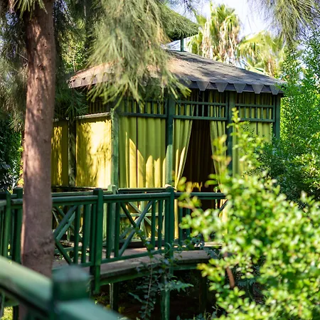 Amelia Resort Kızılot